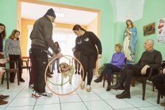 CiCnM-Pet-Therapy-20